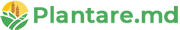 Логотип Plantare.md