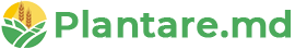 Логотип Plantare.md