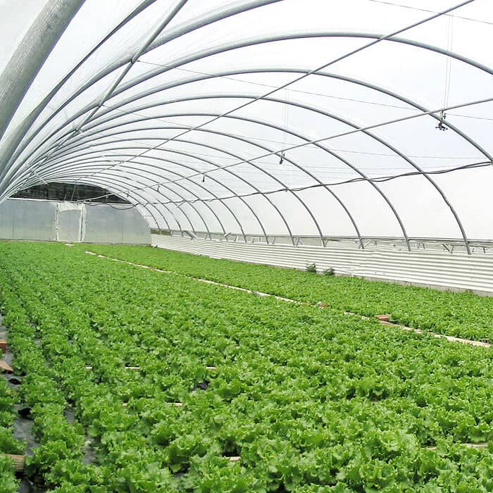 sera-de-tip-tunel-profesional-3