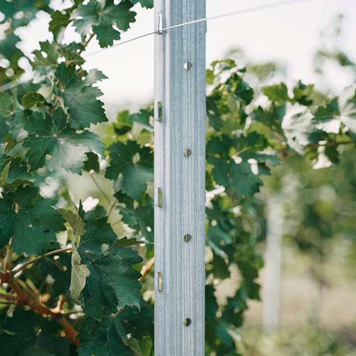 stalp-de-spalier-galvanizat-intermediar-1-5-mm-x-2400-mm-1